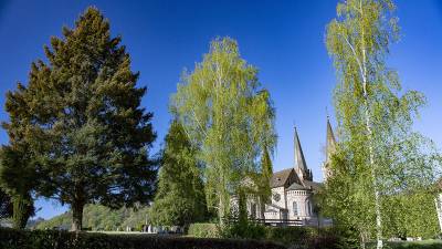 Siegtaldom Dattenfeld