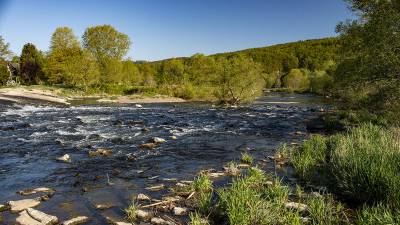 Die Sieg in Dattenfeld