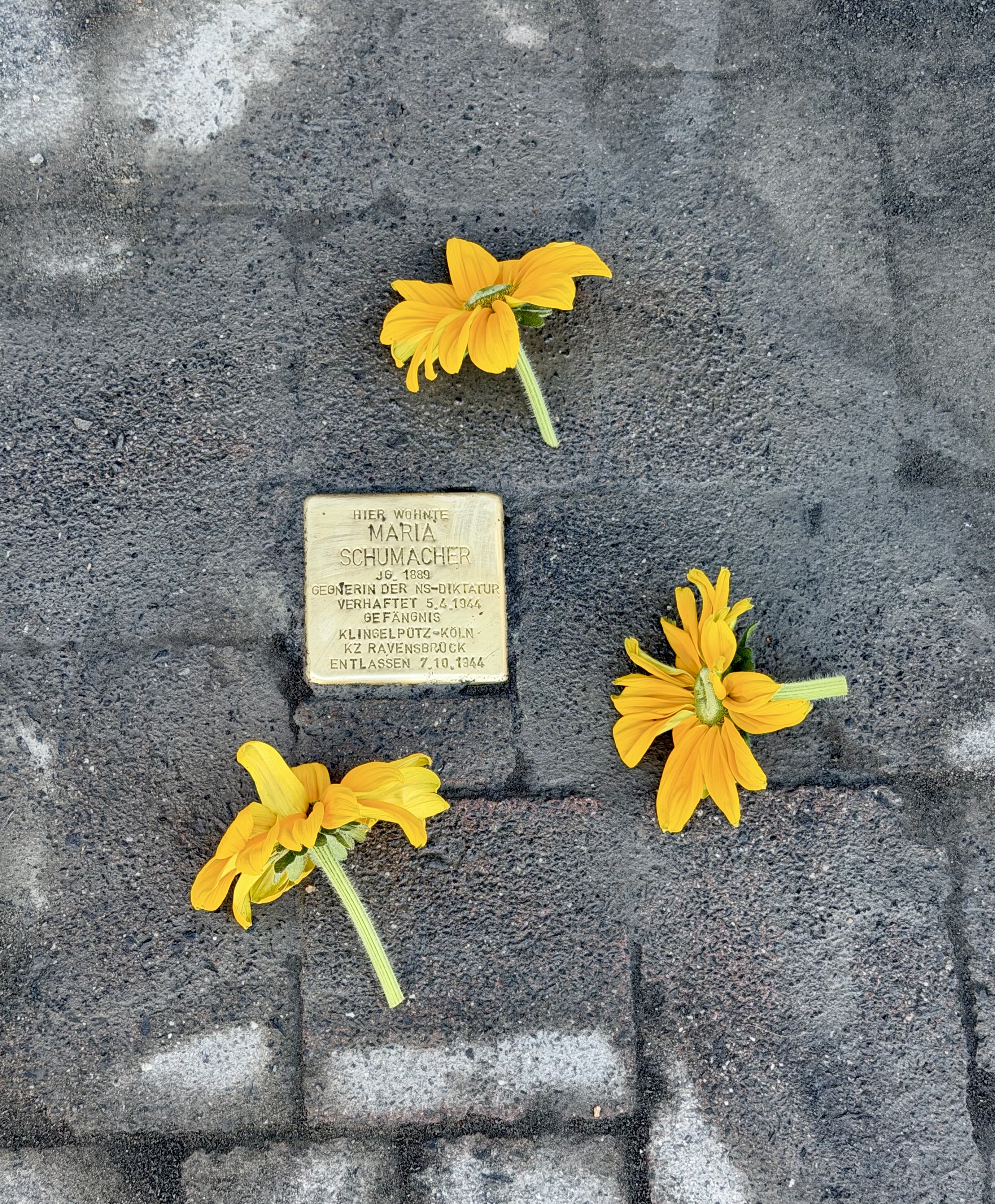 Ein Stein gegen das Vergessen. Einer der beiden neu verlegten Stolpersteine in Windeck erinnert an ein Opfer der nationalsozialistischen Gewaltherrschaft und mahnt, die Erinnerung wachzuhalten.